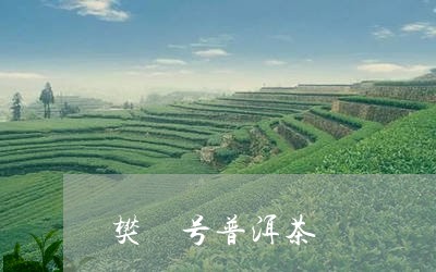 樊 号普洱茶/2023042898049